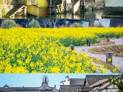 -乌镇景区