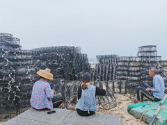 -硇洲岛旅游区