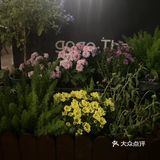 今日打卡餐厅推荐