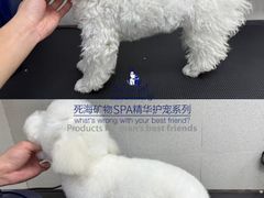 -汪小喵宠物·戴维斯乐芳希施宠馨宝皮毛调理洗护店