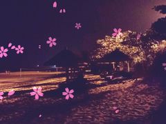 picture-三亚亚龙湾红树林度假酒店