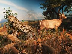 -陕西自然博物馆