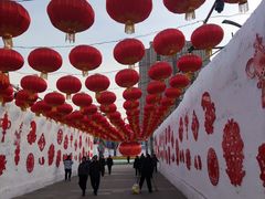 -长春公园(普阳街道)