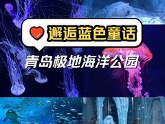 -海合安青岛极地海洋公园