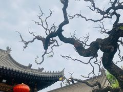 -大慈恩寺(大雁塔)