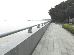 -大湾区中央湿地公园