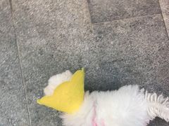 -张飞烧烤(伏泉店)