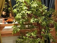 -百姓渔村(南中环店)