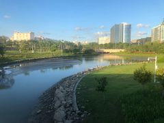 -宝安西湾红树林湿地公园