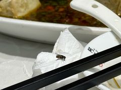 -阿英煲(凉城路店)