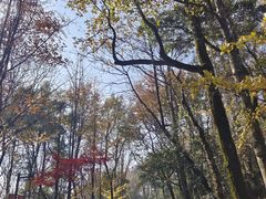 -岳麓山风景名胜区