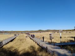 -塞罕坝国家级自然保护区