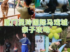 -灵玲国际马戏城