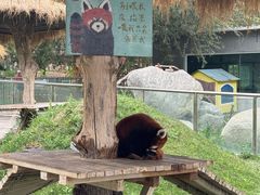 -水上乐园·欢乐世界