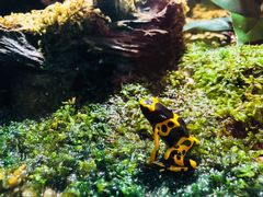 -暹罗海洋世界