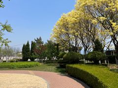 -黑石礁公园