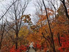 -五女山景区