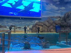 -福州罗源湾海洋世界旅游区