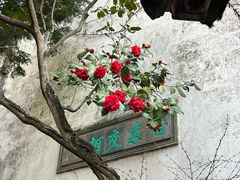 -留园