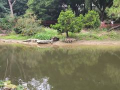 -广西壮族自治区药用植物园