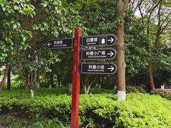 -洋湖国家湿地公园