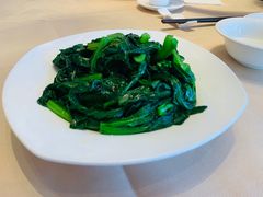 白灼田园菜心-金苑海鲜酒家(来魅力店)