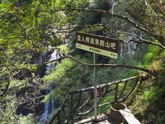 -龙湾潭国家森林公园