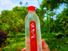 -橘子洲景区