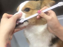 -宠宠熊宠物美容(星湖街店)