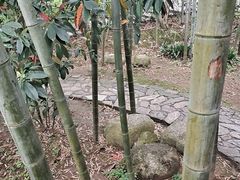 -故乡缘·香格里拉山庄(冷竹路店)