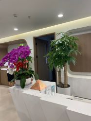 -丰联丽格医疗美容·联合丽格眼整形中心