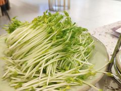-椰子营·椰子鸡火锅(万象里店)