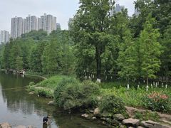 -重庆彩云湖湿地公园