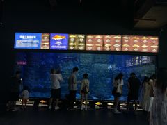 -江和美海洋公园