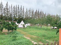 -前小桔亲子创意农场·草莓采摘·露营烧烤