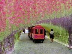 -天眼洞·花岭风景区