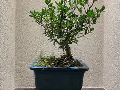 -长禧家·珑厨(东山口店)