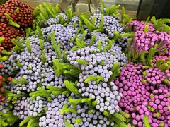 -循礼门鲜花花市(武汉循礼门店)