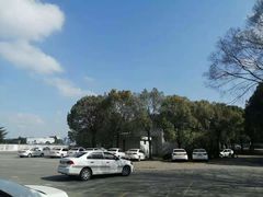 -胜华驾校·小猫学车(银都店)