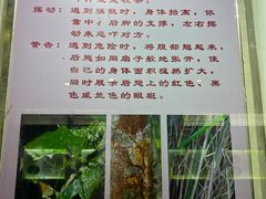 -上海昆虫博物馆