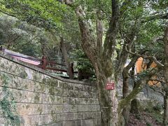 -普陀山风景名胜区-法雨禅寺