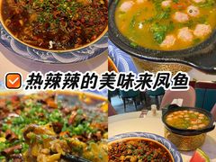 -新概念来凤鱼(璧山店)