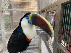 -南宫五洲植物乐园