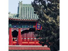 -天津大悲禅院