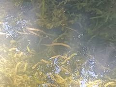 -贵阳市花溪国家城市湿地公园