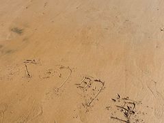 -青岛金沙滩