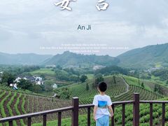 -帐篷客·溪龙茶谷度假酒店