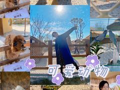 -珠海海泉湾神秘岛亲子乐园