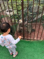 -萌宠亲子动物乐园(槐房万达店)