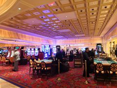 -拉斯维加斯永利酒店